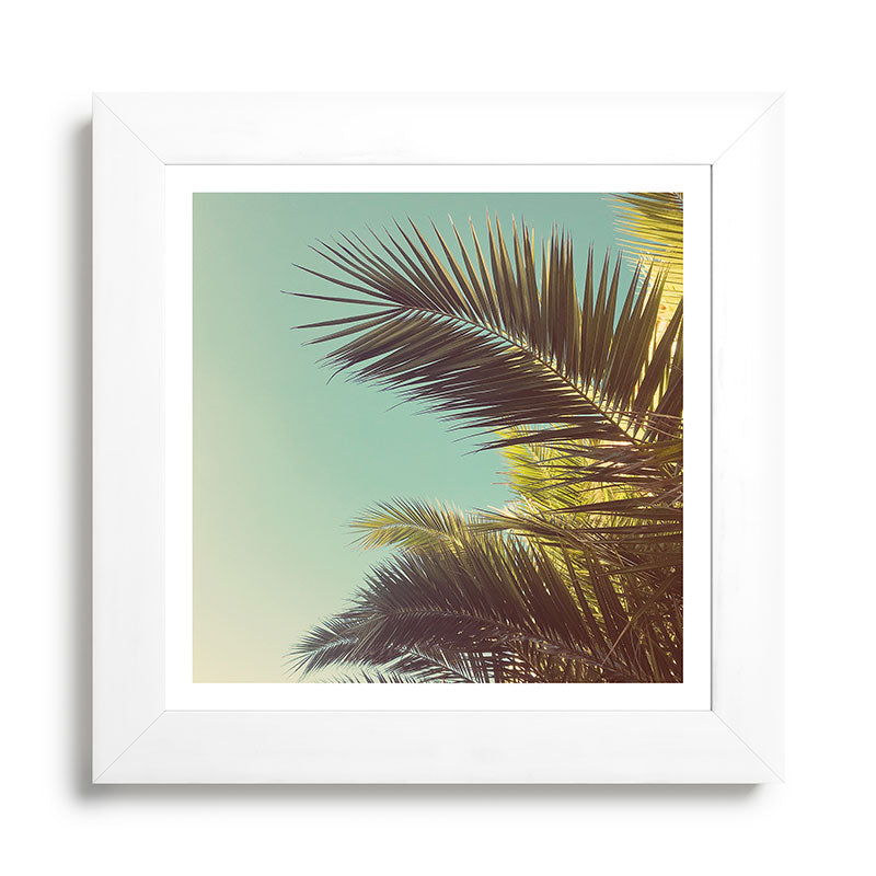 Autumn Palms Framed Art Print Gallery Image 79