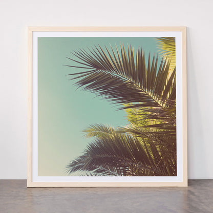 Autumn Palms Framed Art Print Gallery Image 77