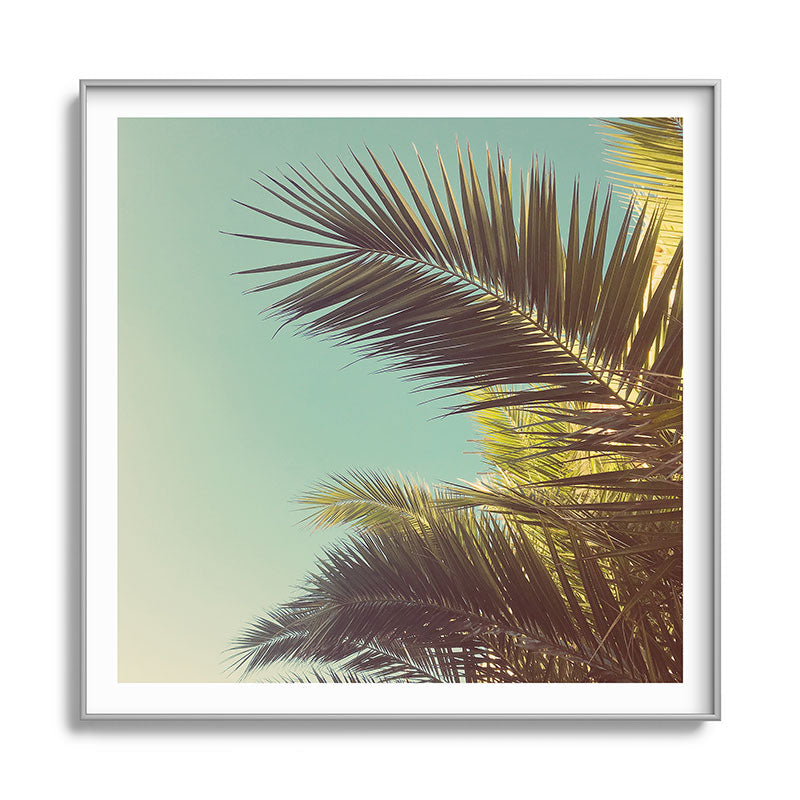 Autumn Palms Framed Art Print Gallery Image 141