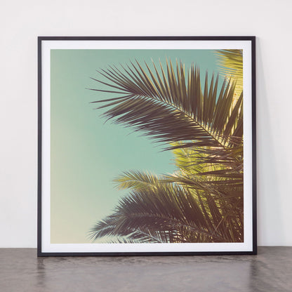 Autumn Palms Framed Art Print Gallery Image 11