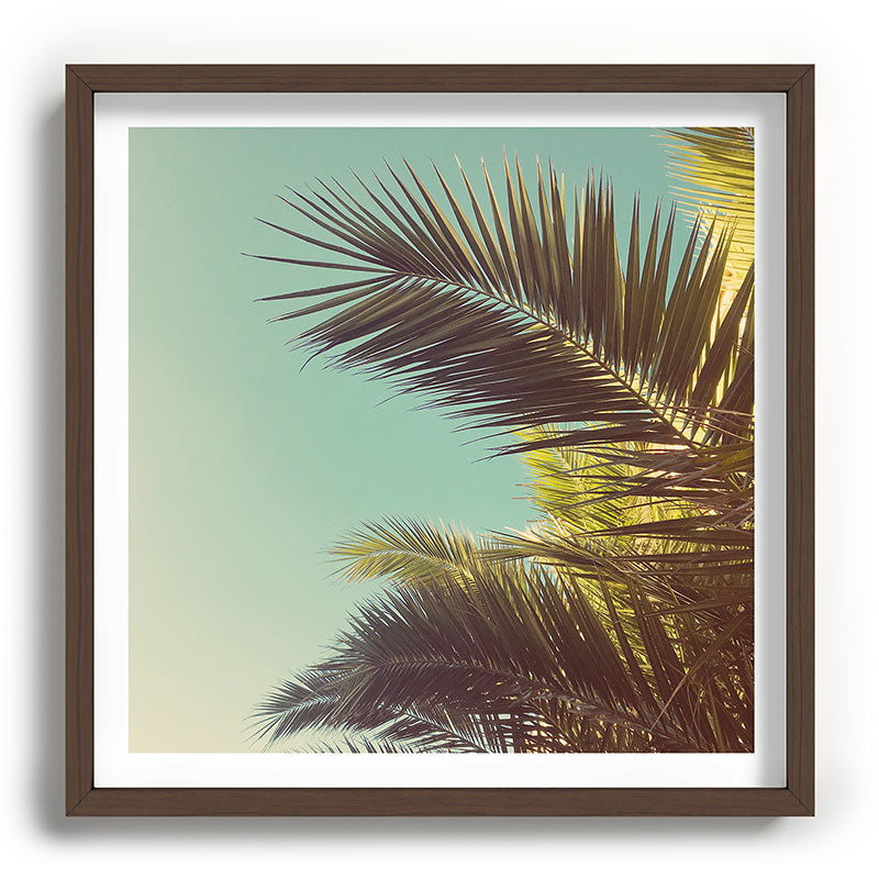 Autumn Palms Framed Art Print Gallery Image 101