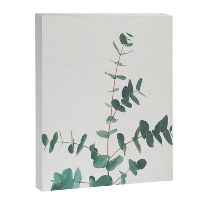 Eucalyptus Canvas Print Gallery Image 3