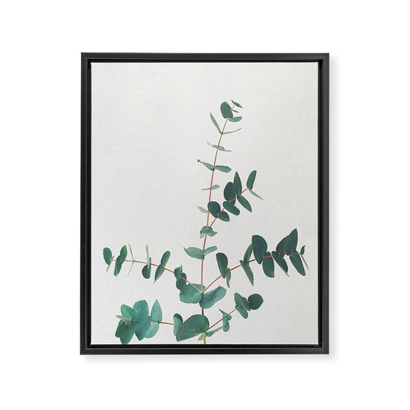 Eucalyptus Framed Canvas Print Gallery Image 3