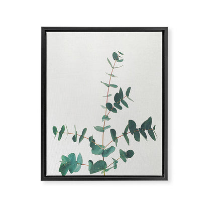 Eucalyptus Framed Canvas Print Gallery Image 5
