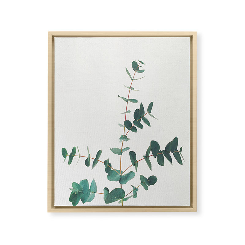 Eucalyptus Framed Canvas Print Gallery Image 22