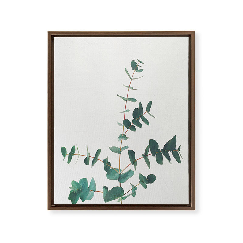 Eucalyptus Framed Canvas Print Gallery Image 13
