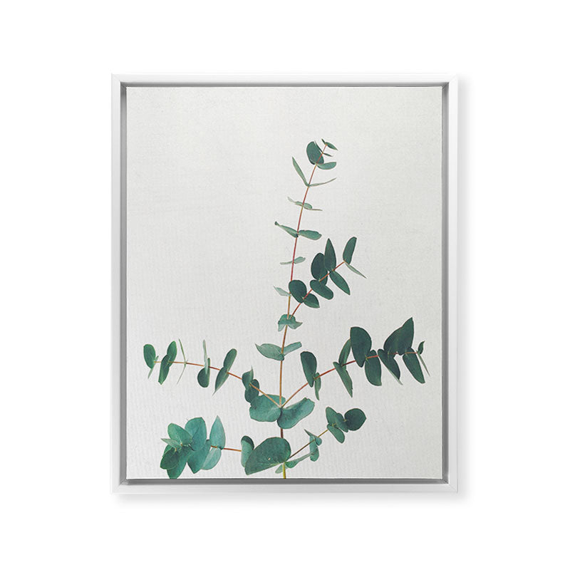 Eucalyptus Framed Canvas Print Gallery Image 35