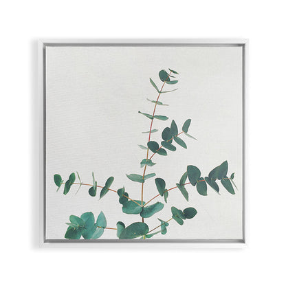 Eucalyptus Framed Canvas Print Gallery Image 29