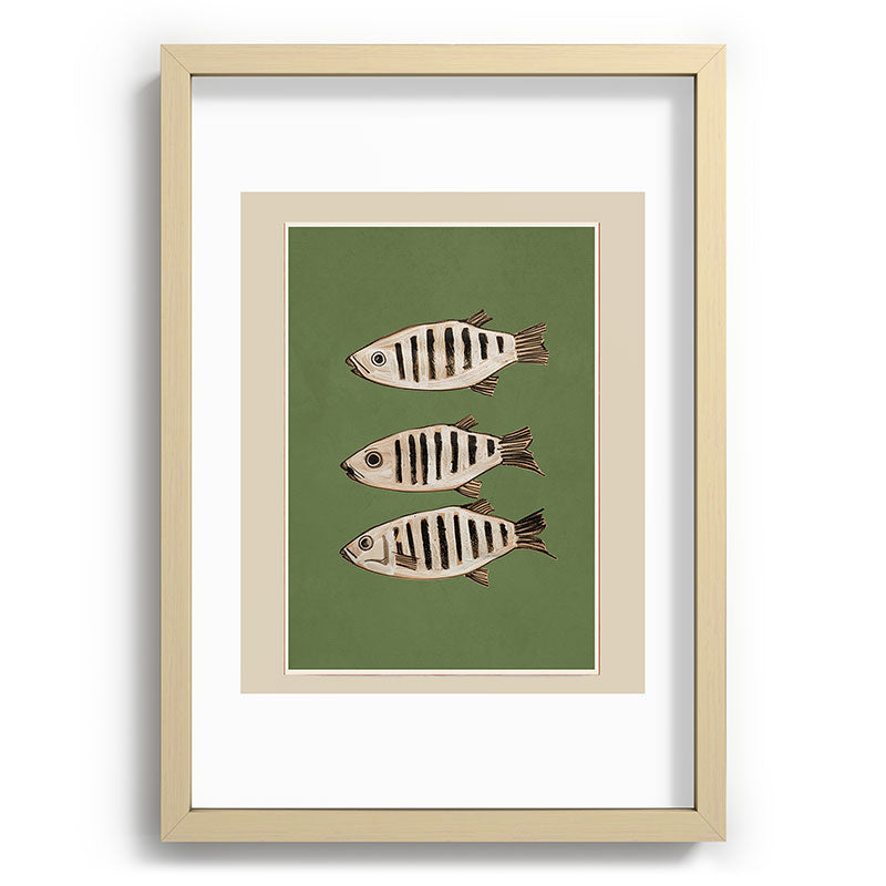 Abstract Fish Study II Framed Art Print Gallery Image 71