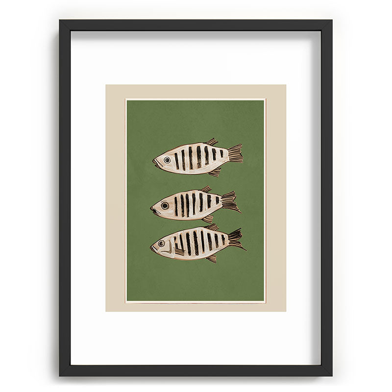 Abstract Fish Study II Framed Art Print Gallery Image 61