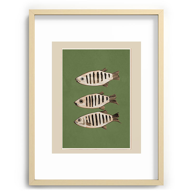 Abstract Fish Study II Framed Art Print Gallery Image 72