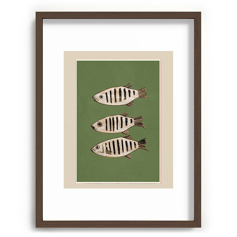 Abstract Fish Study II Framed Art Print Gallery Image 66