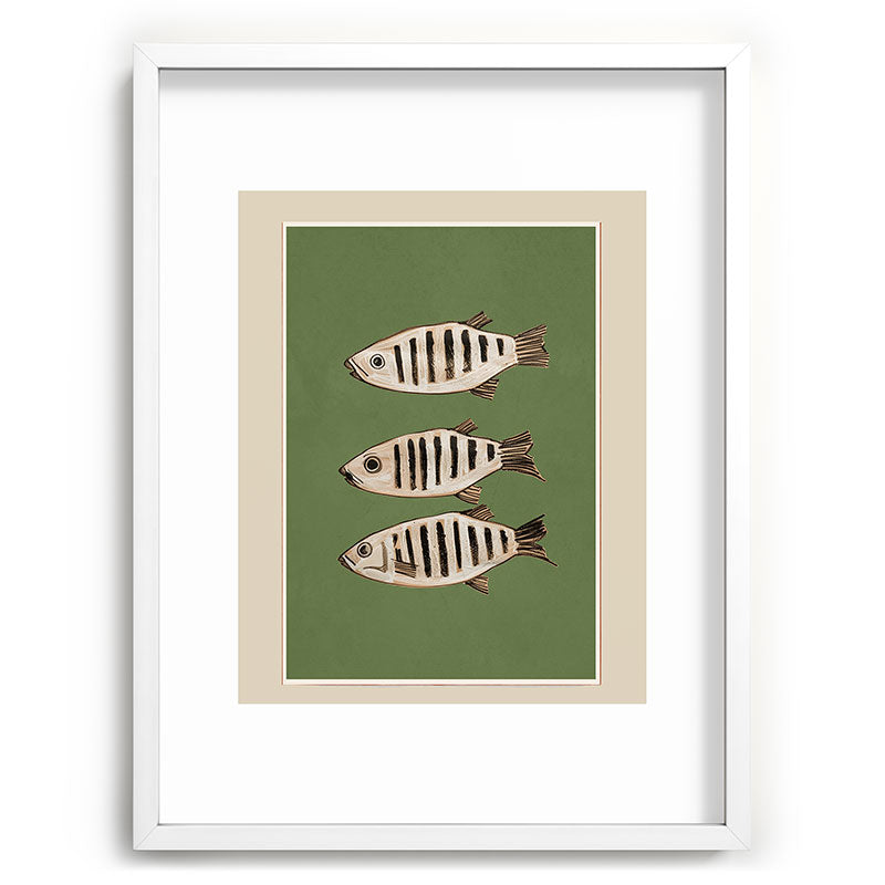 Abstract Fish Study II Framed Art Print Gallery Image 78