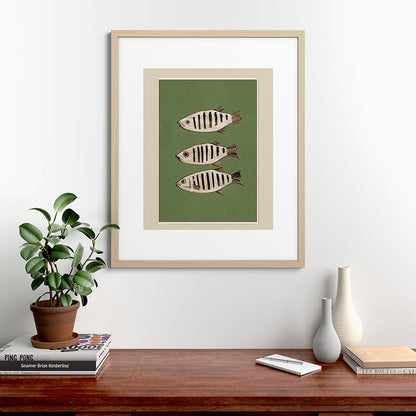 Abstract Fish Study II Framed Art Print Gallery Image 49