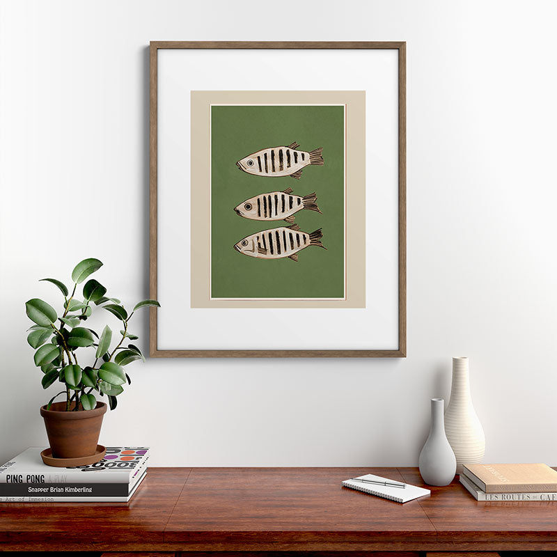 Abstract Fish Study II Framed Art Print Gallery Image 14