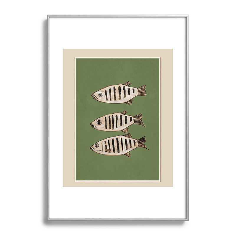 Abstract Fish Study II Framed Art Print Gallery Image 97