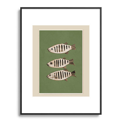 Abstract Fish Study II Framed Art Print Gallery Image 85