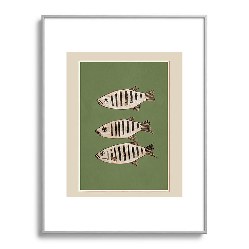 Abstract Fish Study II Framed Art Print Gallery Image 98