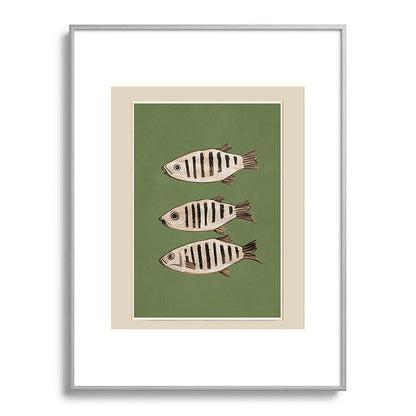 Abstract Fish Study II Framed Art Print Gallery Image 99
