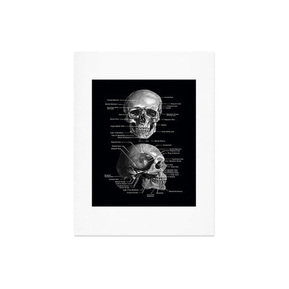 Skull Anatomy - Dark Version Art Print Gallery Image 8
