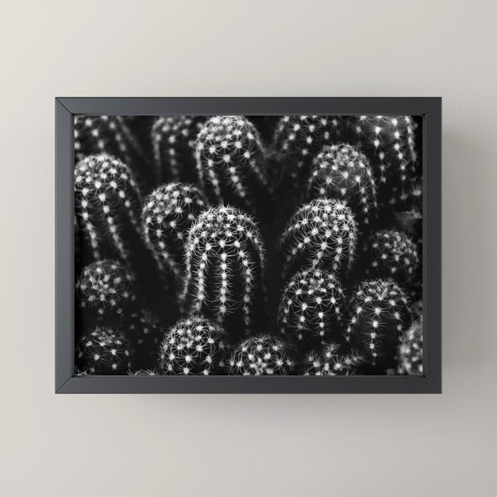 Cactus nature XIII Mini Art Print Gallery Image 3