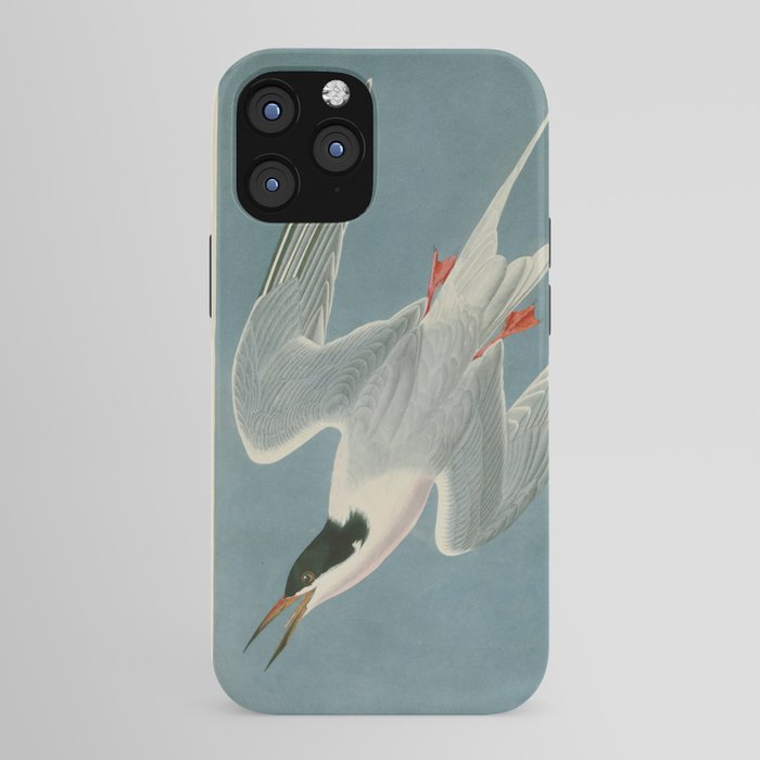 Roseate Tern - John James Audubon Birds of America iPhone Case Gallery Image 43