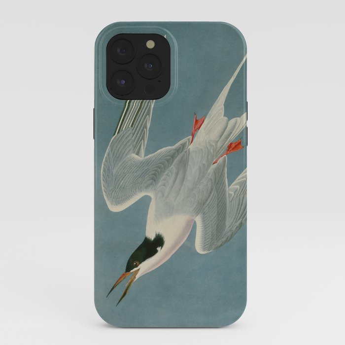 Roseate Tern - John James Audubon Birds of America iPhone Case Gallery Image 40