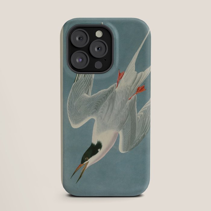Roseate Tern - John James Audubon Birds of America iPhone Case Gallery Image 19