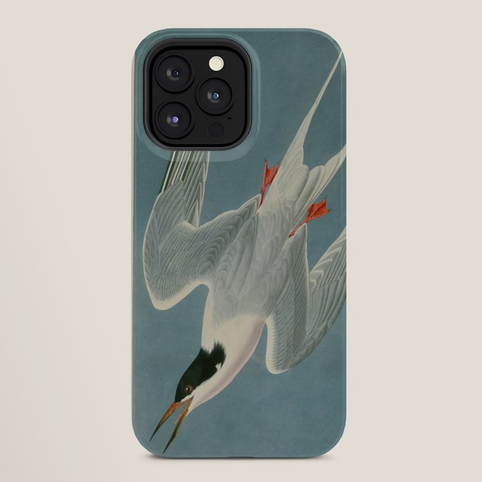 Roseate Tern - John James Audubon Birds of America iPhone Case Gallery Image 28