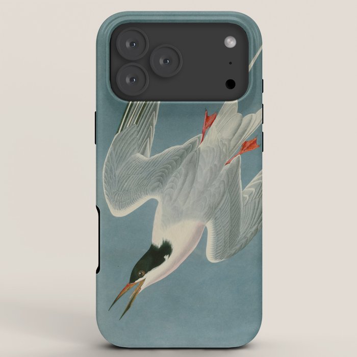 Roseate Tern - John James Audubon Birds of America iPhone Case Gallery Image 8