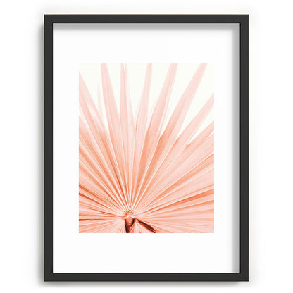 Blush Pink Fan Palm Framed Art Print Gallery Image 61