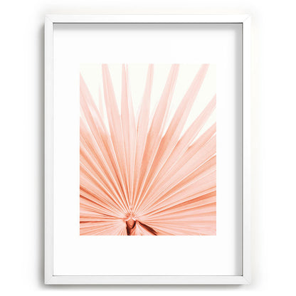 Blush Pink Fan Palm Framed Art Print Gallery Image 78