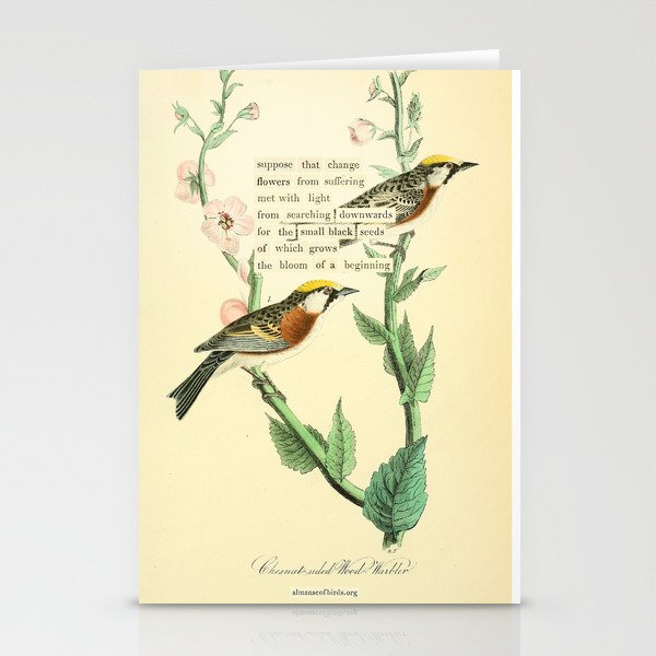 Bird Divinations: Chestnut-Sided Wood Warbler (about: almanacofbirds.org) Stationery Card Gallery Image 1