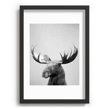 Moose - Black & White Framed Art Print Gallery Image 81