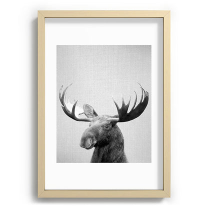 Moose - Black & White Framed Art Print Gallery Image 97