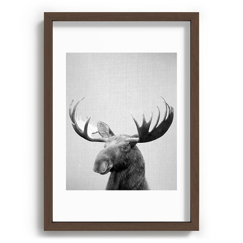 Moose - Black & White Framed Art Print Gallery Image 89