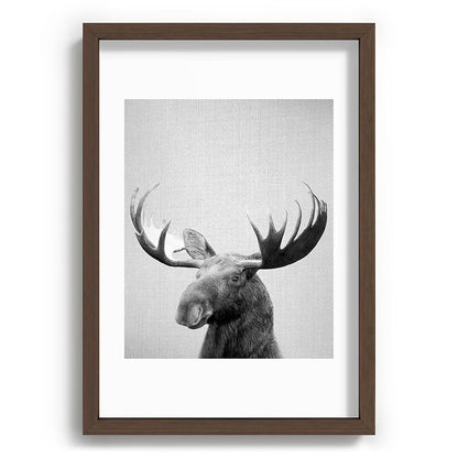 Moose - Black & White Framed Art Print Gallery Image 89