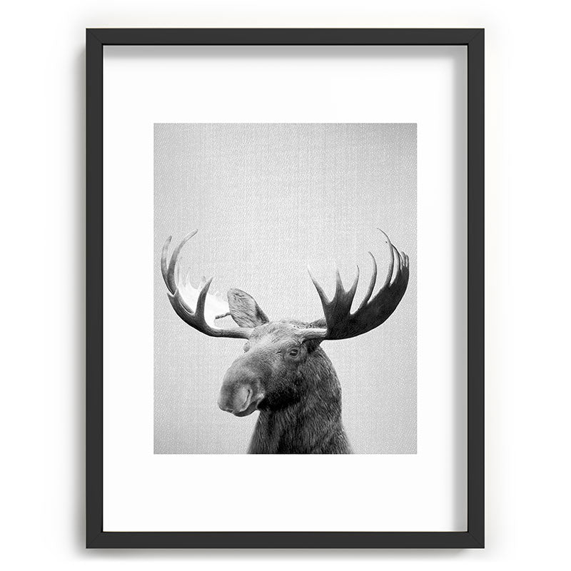 Moose - Black & White Framed Art Print Gallery Image 83