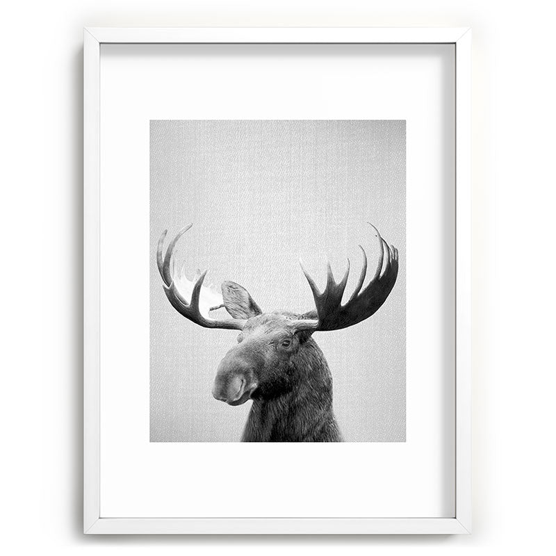 Moose - Black & White Framed Art Print Gallery Image 107
