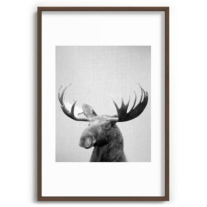 Moose - Black & White Framed Art Print Gallery Image 94