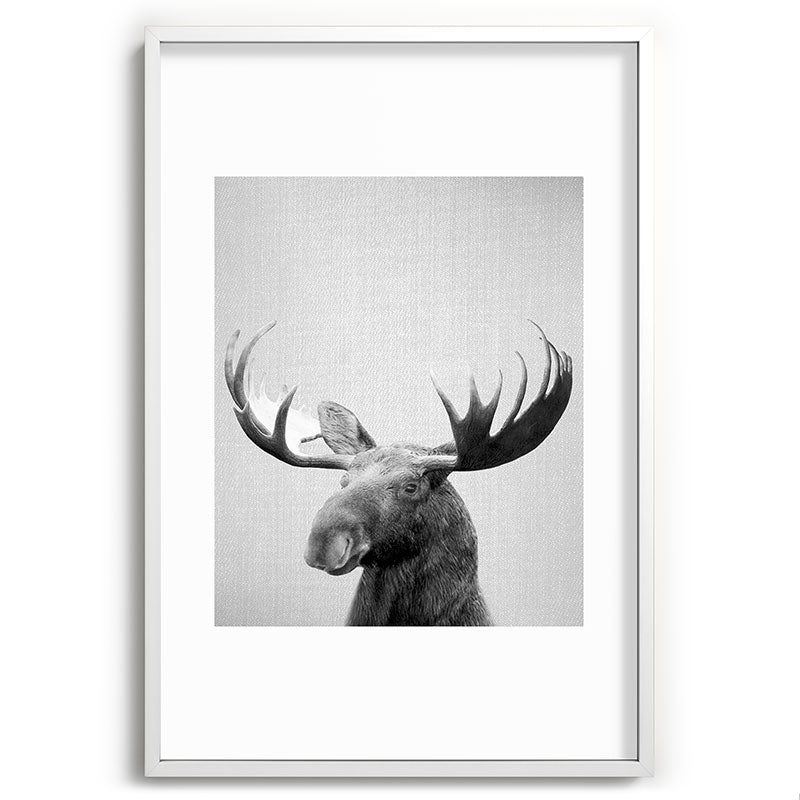 Moose - Black & White Framed Art Print Gallery Image 110