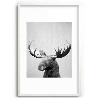 Moose - Black & White Framed Art Print Gallery Image 110