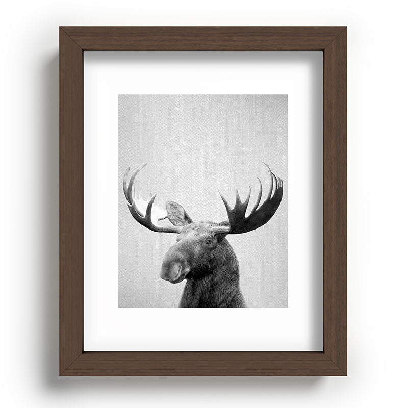 Moose - Black & White Framed Art Print Gallery Image 86