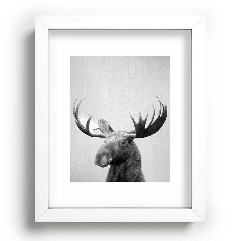 Moose - Black & White Framed Art Print Gallery Image 104