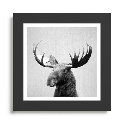 Moose - Black & White Framed Art Print Gallery Image 46