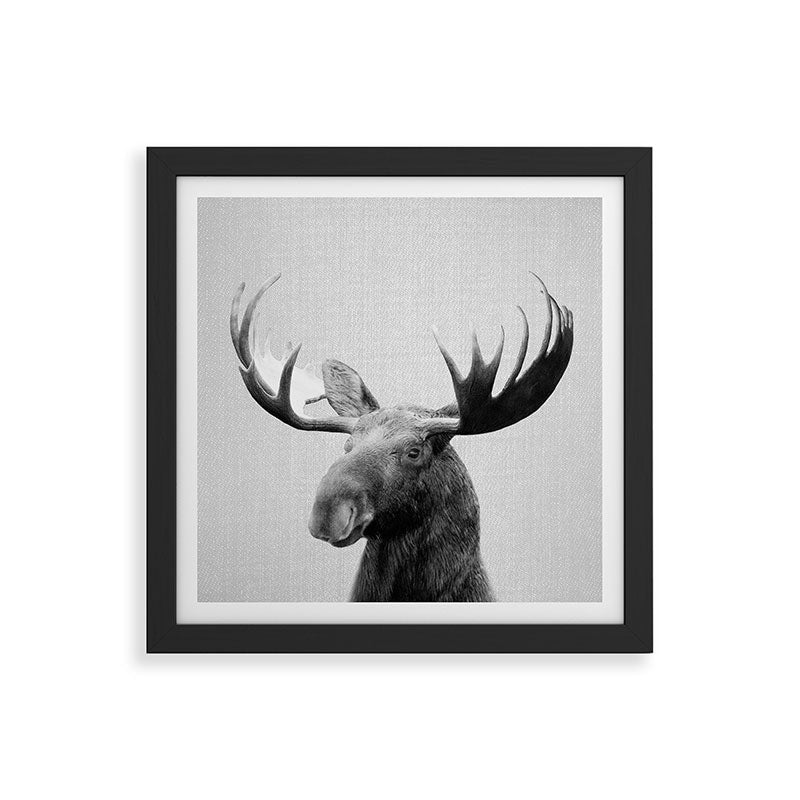 Moose - Black & White Framed Art Print Gallery Image 50