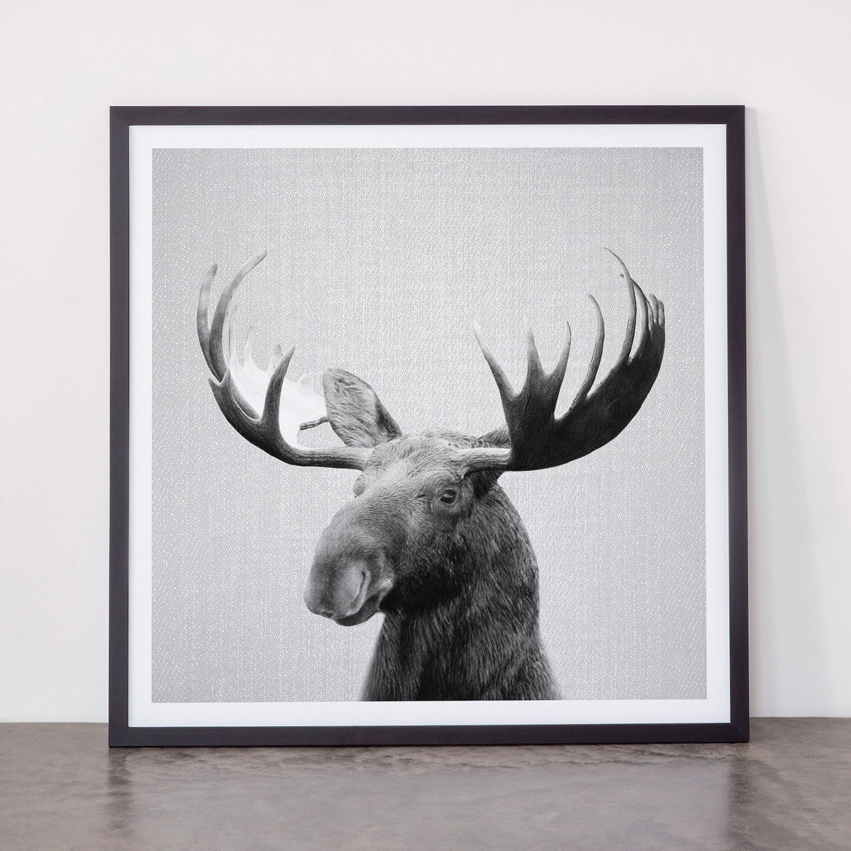 Moose - Black & White Framed Art Print Gallery Image 55