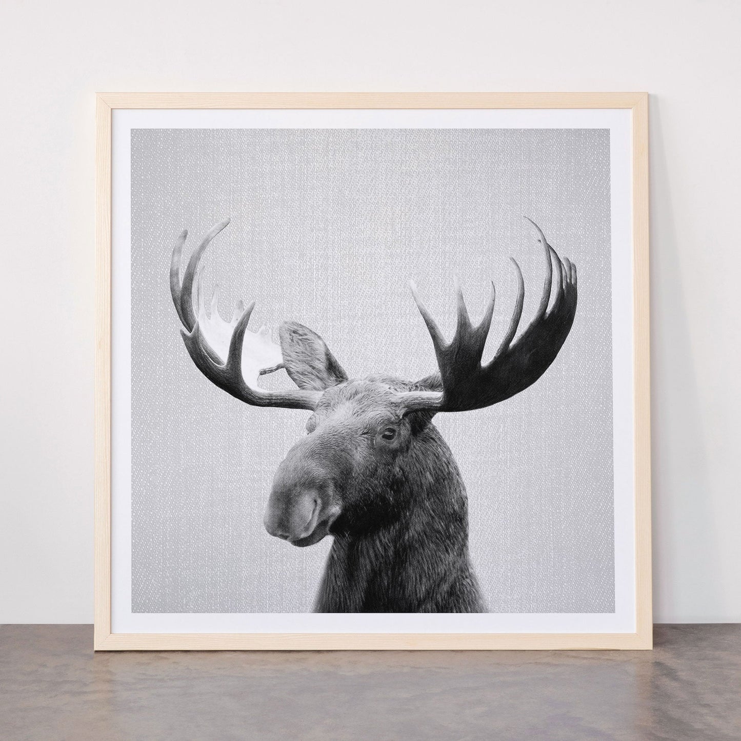 Moose - Black & White Framed Art Print Gallery Image 77