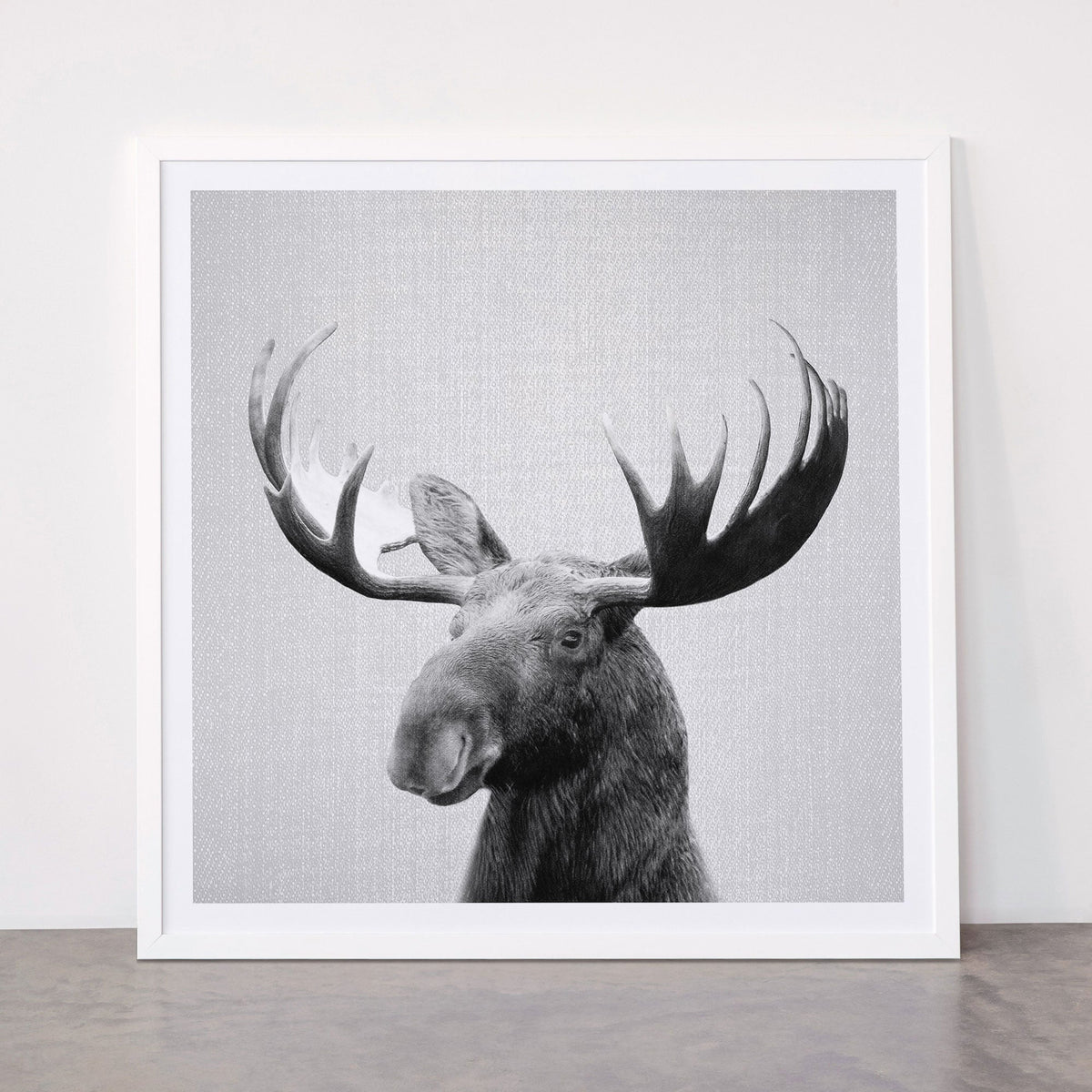 Moose - Black & White Framed Art Print Gallery Image 87