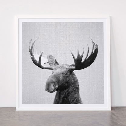 Moose - Black & White Framed Art Print Gallery Image 87